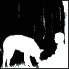 ������ ��� pitman